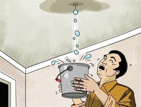 dream of a leaking roof|What is the Meaning of Leaking Roof in a Dream: Insights into。